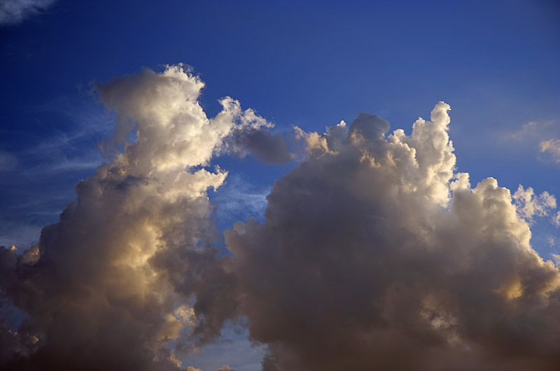 Evil Mouse Cloud