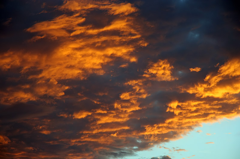 Another sunset picture for my photo of the day here in Phoenix, Arizona