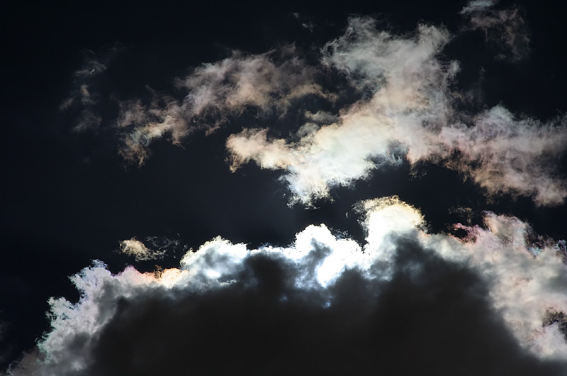 Mid day looking up at a crystal clear sky with light whisipy clouds floating by in Phoenix, Arizona