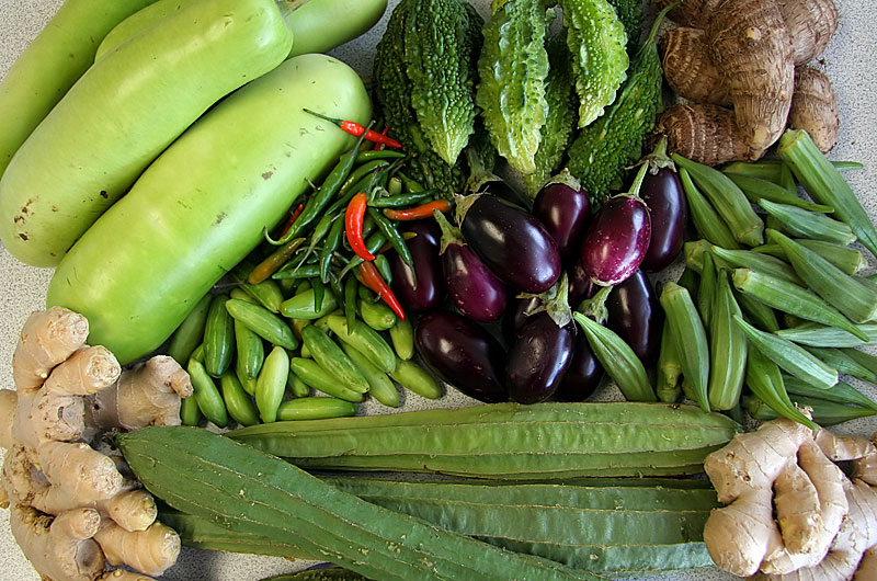 A sampling of veggies from a local Indian grocery store in Phoenix, Arizona