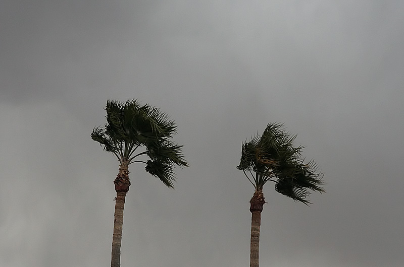 High winds, occasional dark clouds, lots of dust kicked up by the winds, but no rain for Phoenix, Arizona