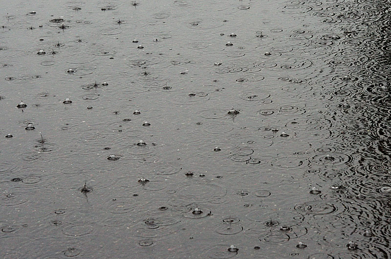 On the 145th day after 144 previously dry days, Phoenix, Arizona finally see's rain - oh what a relief.