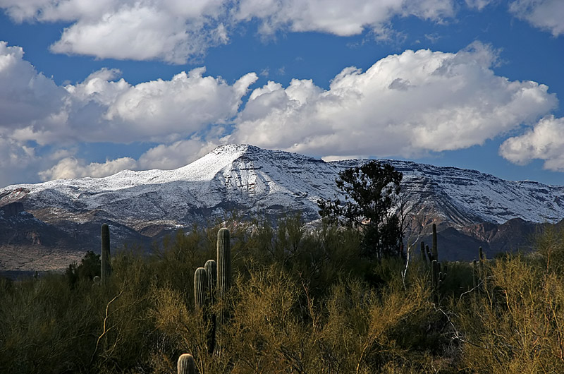 Fifteen miles north of Phoenix we photographed these snow covered mountains in Cave Creek, Arizona