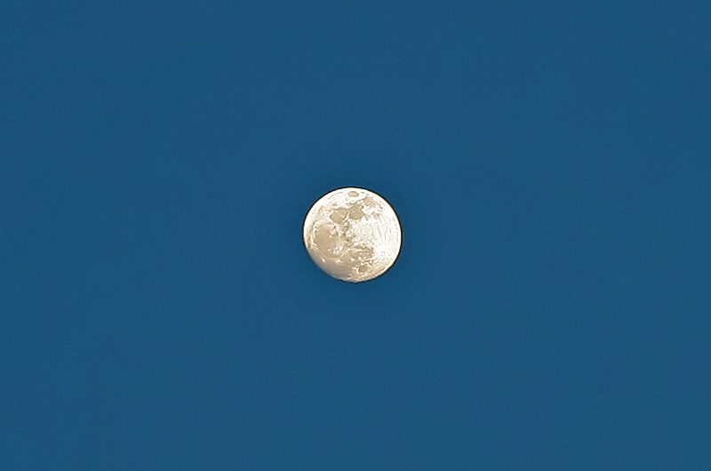 The Moon