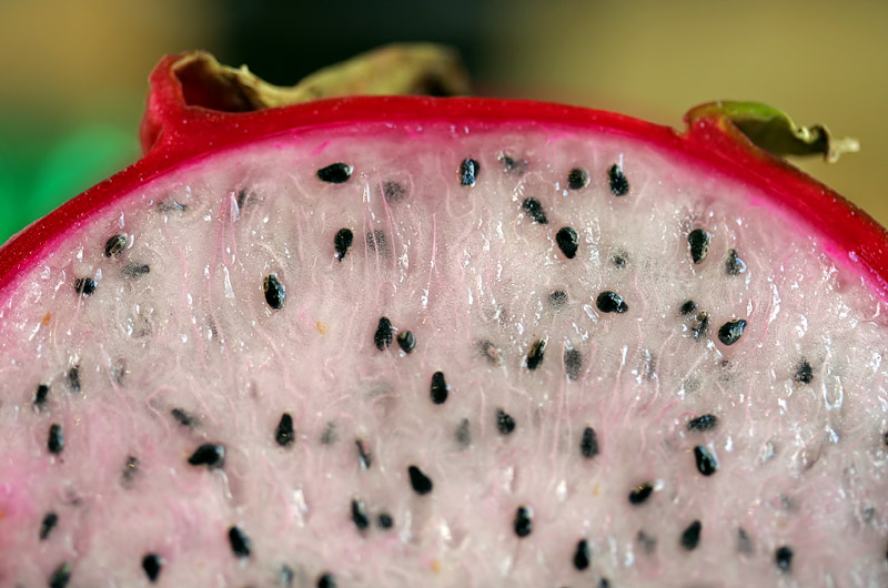 Inside the Dragon Fruit