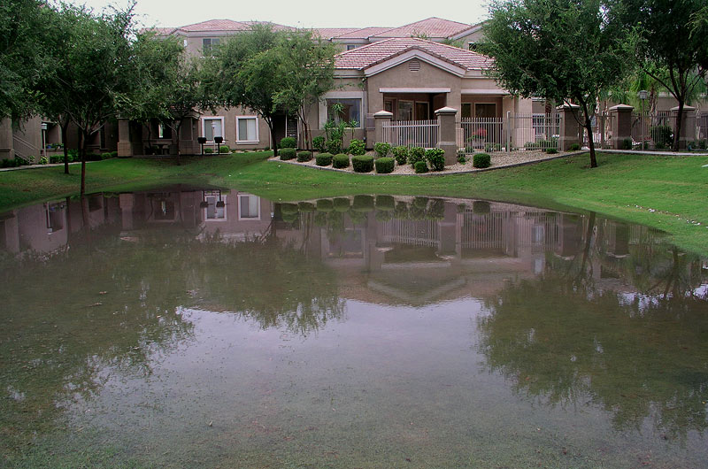 Last night's storm left a temporary wading pool at our apartment complex.