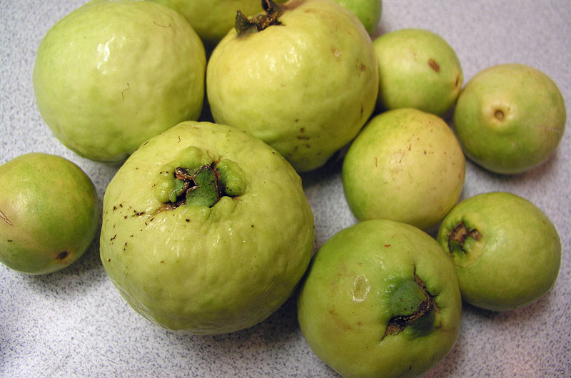 Two kinds of guava fruit - Yum!