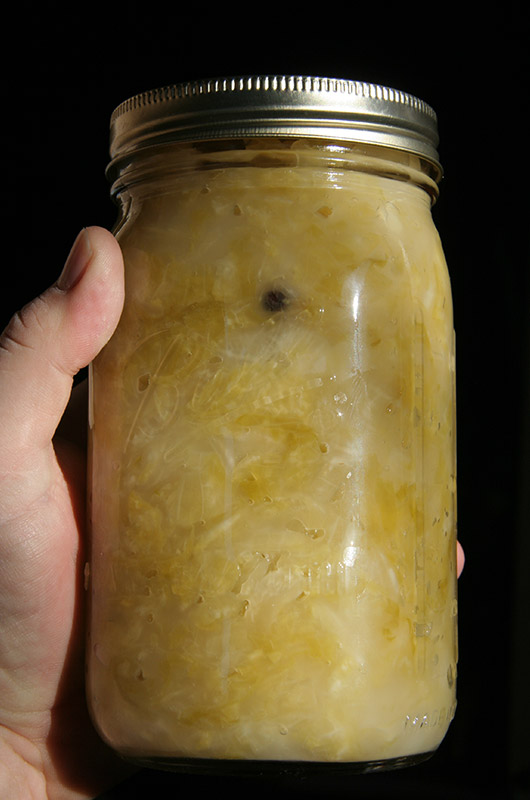 A quart of homemade sauerkraut made with a traditional crock fermented over the past five weeks