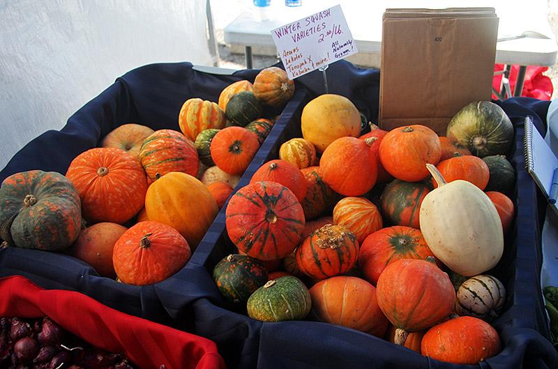 Squash available from the Downtown Phoenix Public Market