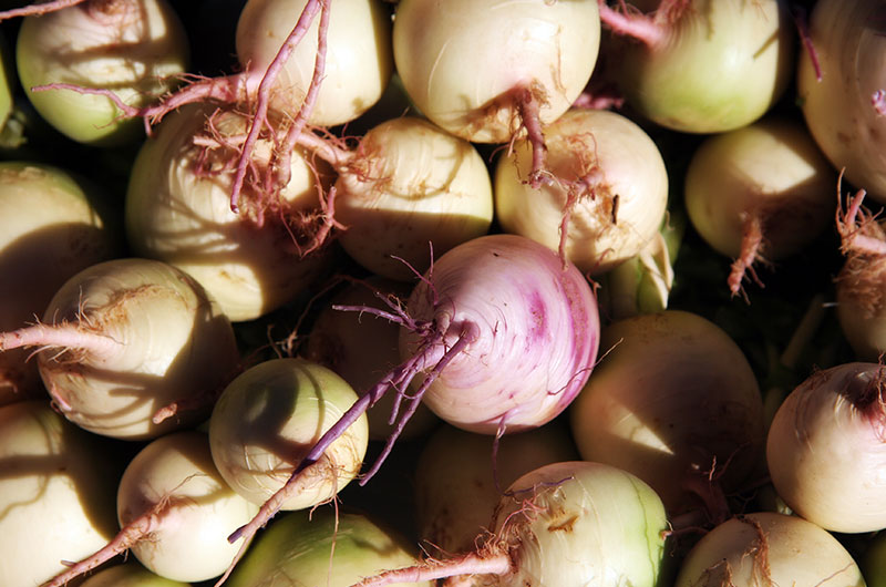 Turnips from Tonopah Rob's Vegetable Farm in Tonopah, Arizona