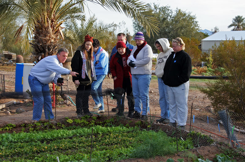 Farm tour at Tonopah Rob's Vegetable Farm in Tonopah, Arizona