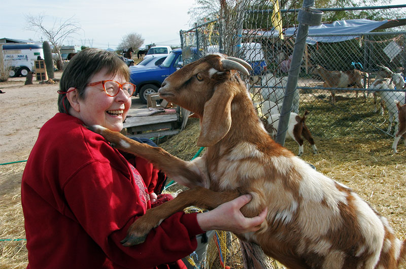 Jutta Engelhardt and Bubbles the Goat getting to know one another at Chile Acres in Tonopah, Arizona