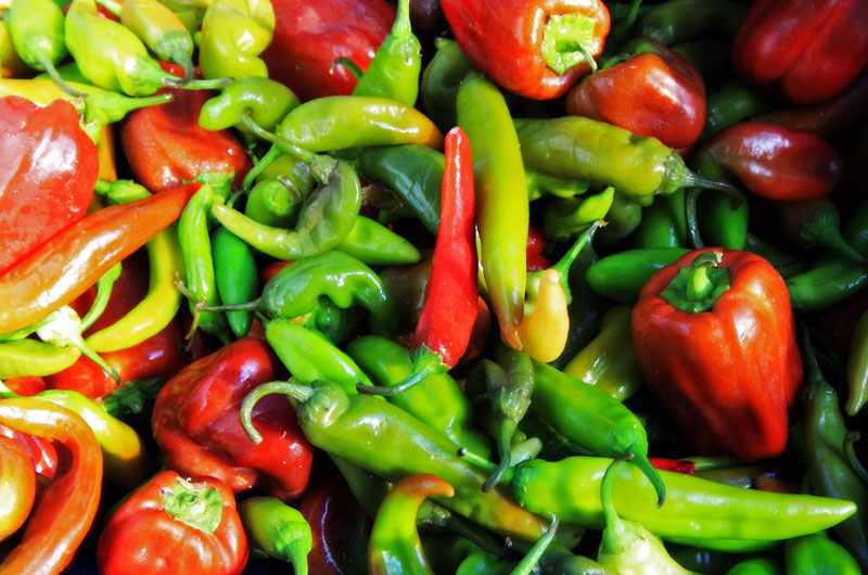 Assorted peppers from Tonopah Rob's vegetable farm in Tonopah, Arizona