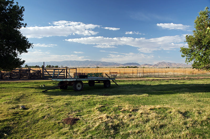 The view from Brown's apple orchard in Willcox, Arizona looking north