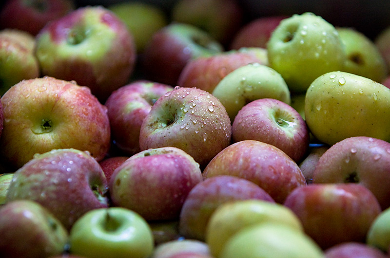 Apples being washed before being turned into cider at Brown's Orchard in Willcox, Arizona