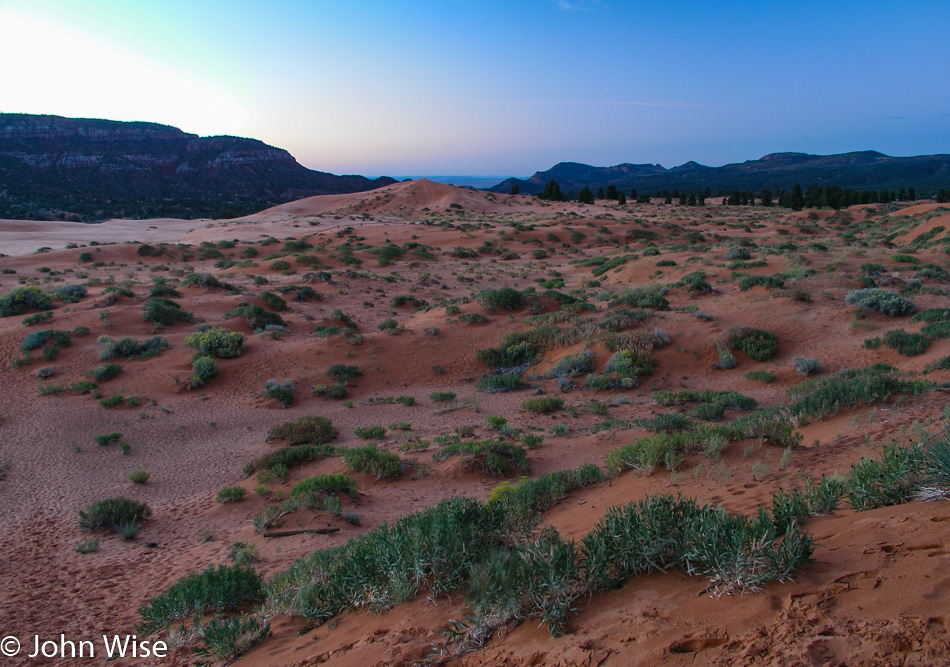 Coral Pink Sand Dunes in Utah