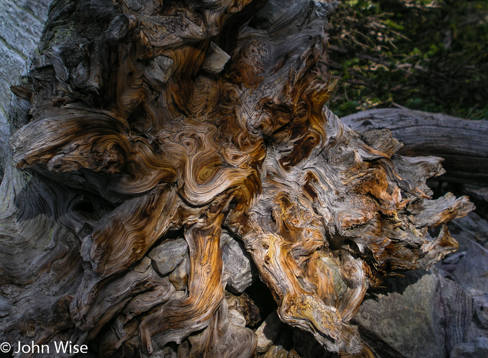 Great Basin National Park in Nevada