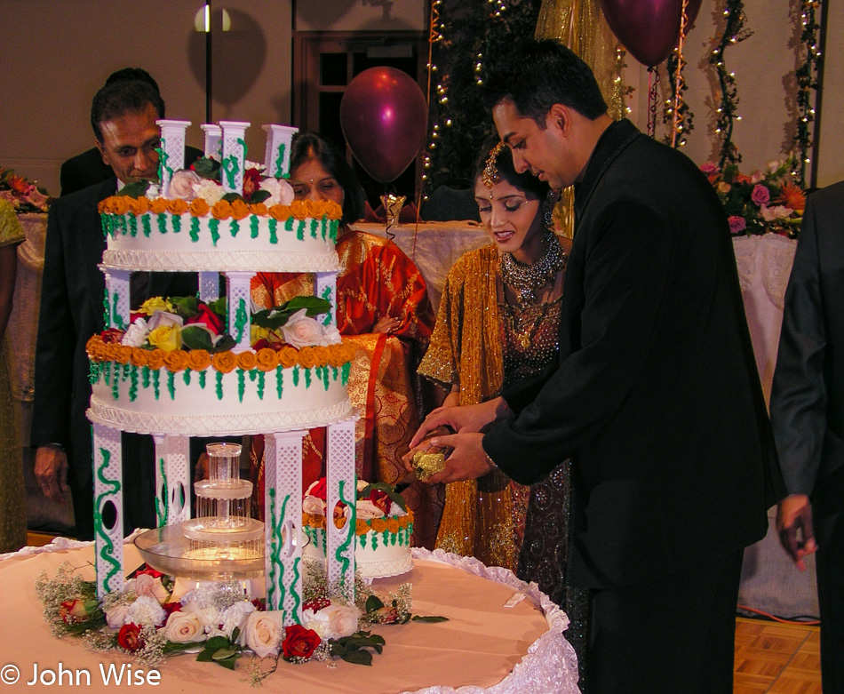 Alka and Hitesh at their wedding reception in Phoenix, Arizona