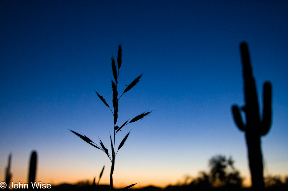 Sunset in Phoenix, Arizona