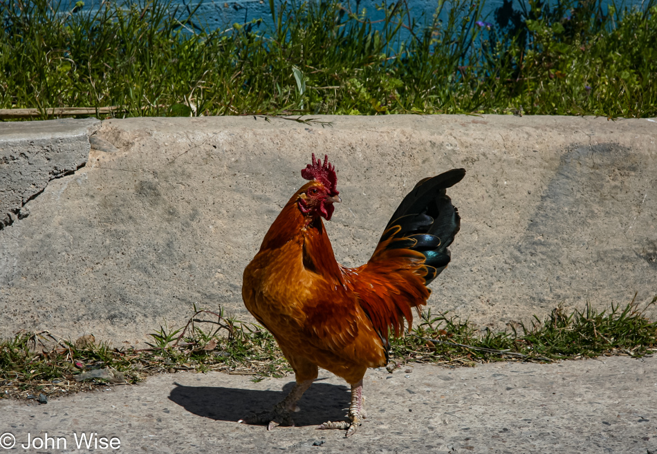 Miami, Arizona