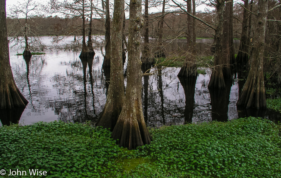 Louisiana 2005