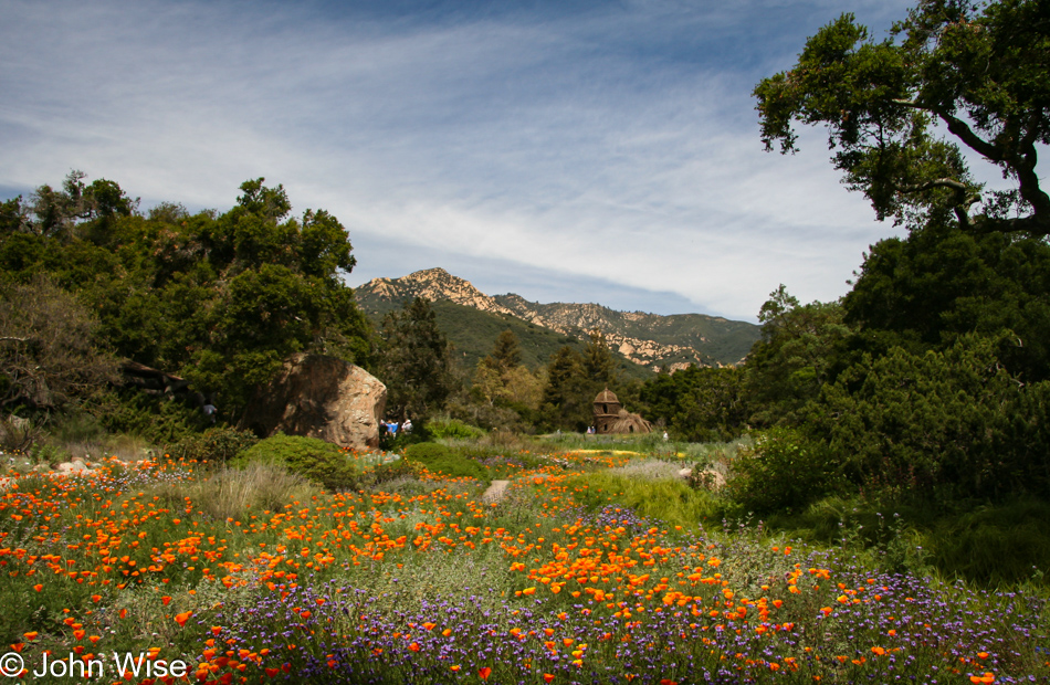 Santa Barbara Botanic Garden, California