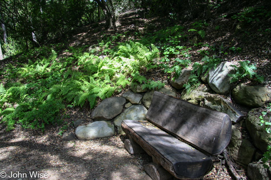 Santa Barbara Botanic Garden, California