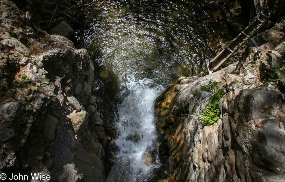 Santa Barbara Botanic Garden, California