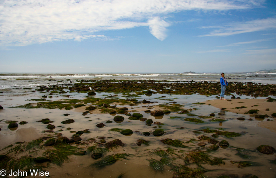 Caroline Wise exploring the shore at low tide on the Pacific Ocean in California