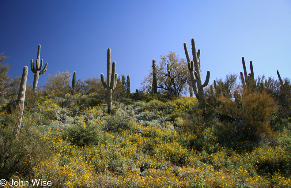 Driving north on highway 17 I leave the road to visit Black Canyon City, Arizona