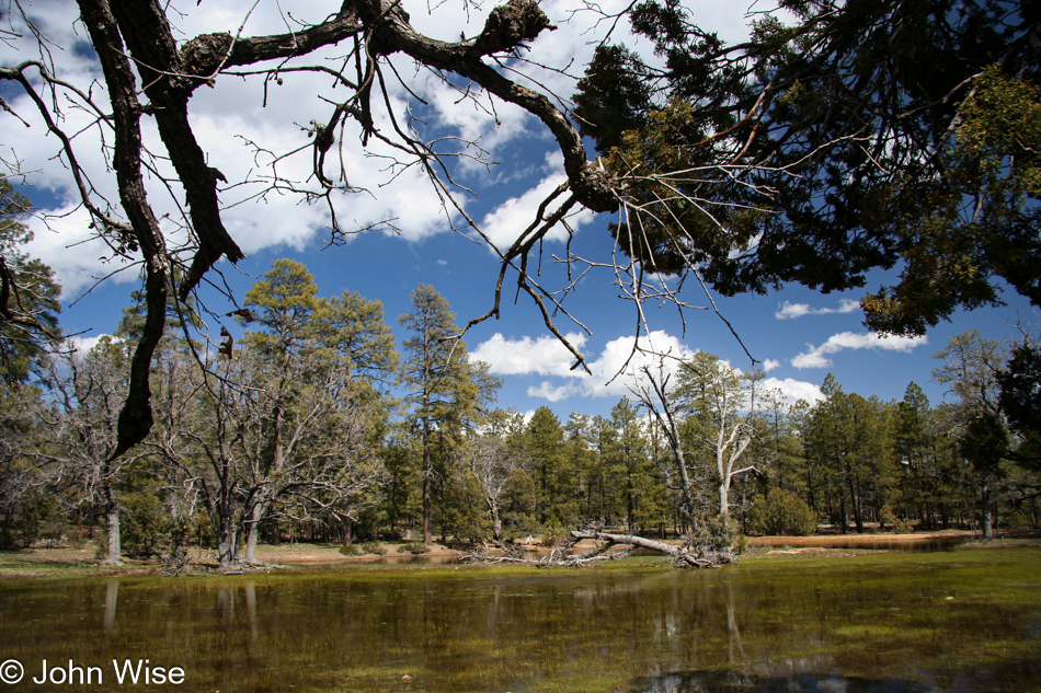 A temporary meadow lake created by melting snows on the Mogollon Rim in Arizona