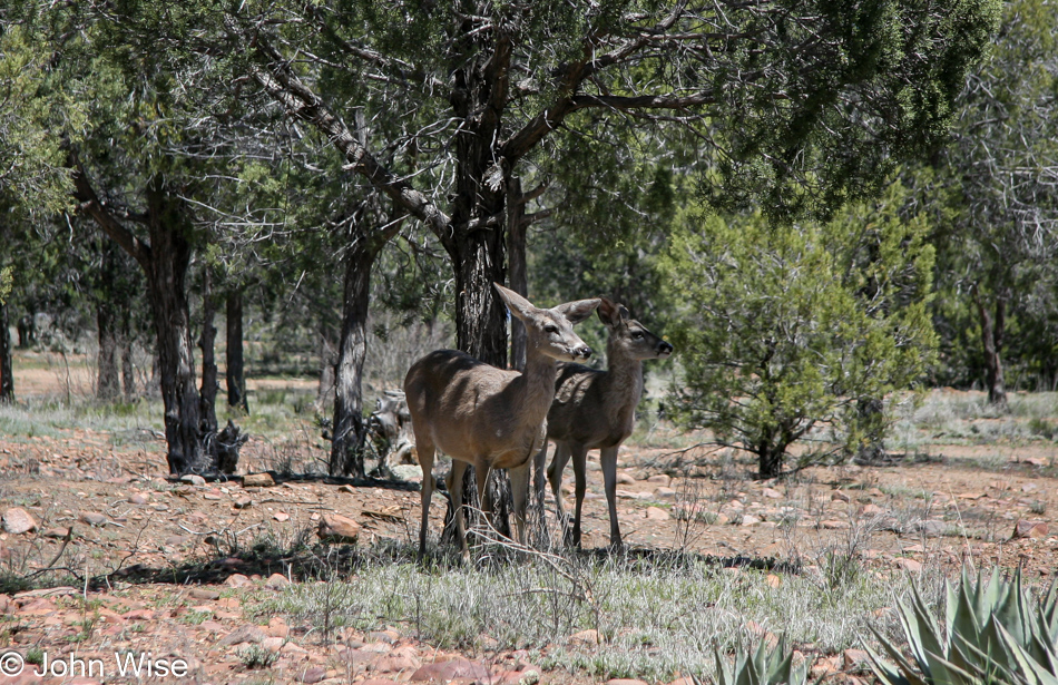 Seneca Lake Recreation Area in San Carlos, Arizona