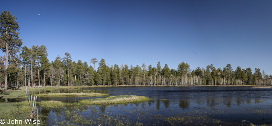 Possibly Route 260 east of Payson, Arizona