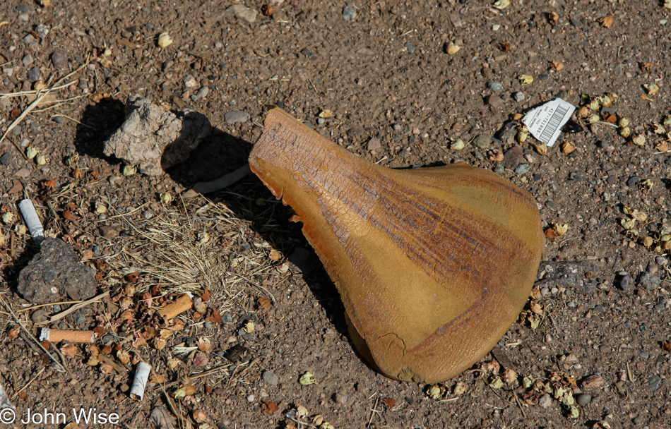 A bicycle seat rotting in the sun on Bell Road and 19th Avenue in a rundown part of Phoenix, Arizona