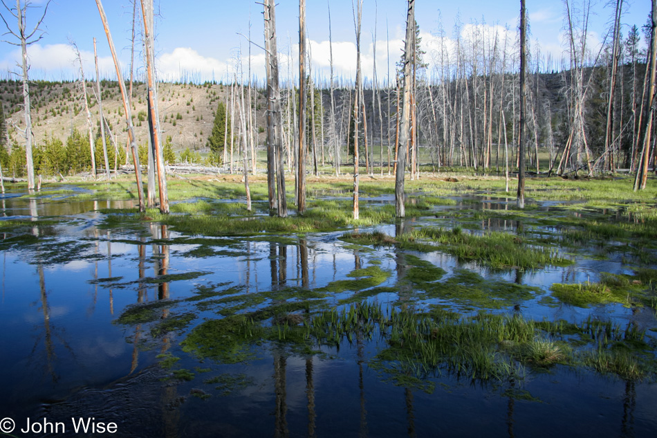 Yellowstone National Park, Wyoming