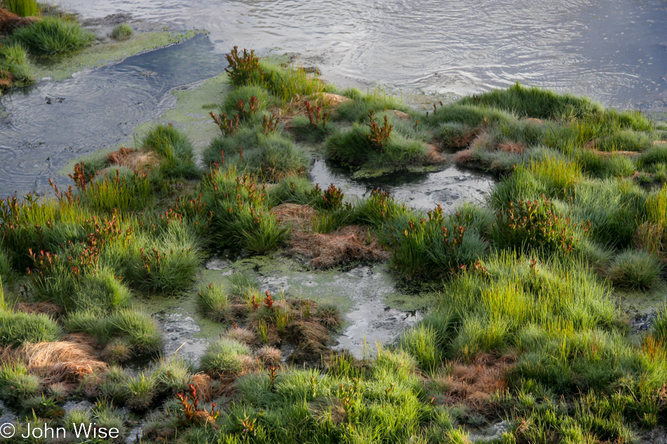 Yellowstone National Park Wyoming