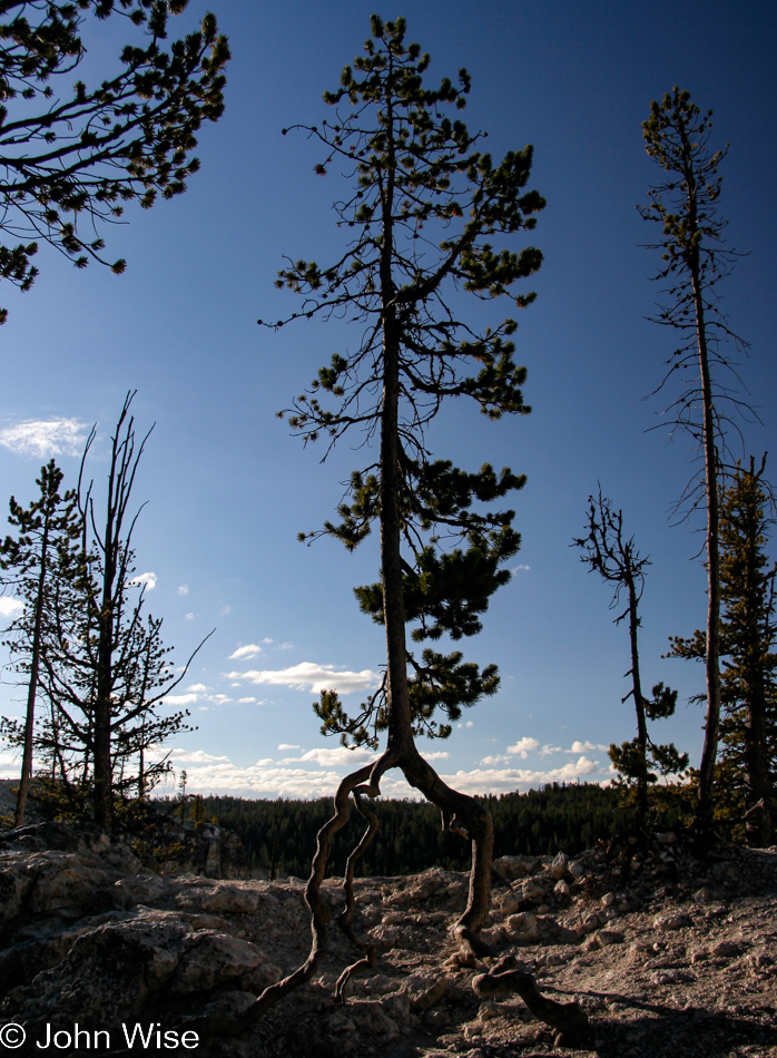 Yellowstone National Park Wyoming