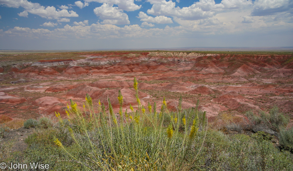 Petrified Forest National Park in Arizona