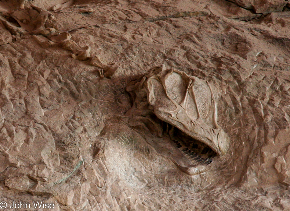 Dinosaur National Monument in Jensen, Utah