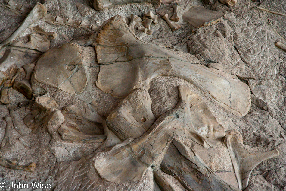 Dinosaur National Monument in Jensen, Utah