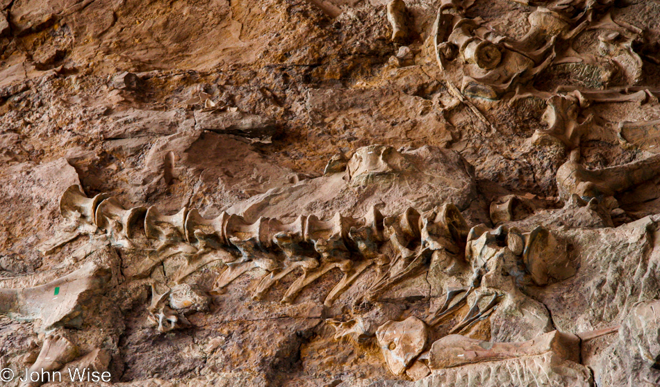 Dinosaur National Monument in Jensen, Utah