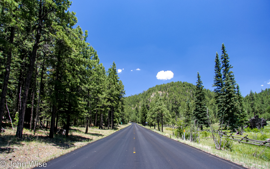 Somewhere near Alpine, Arizona