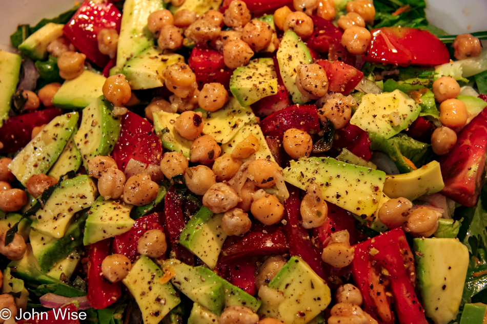 A fresh salad of romaine, dandelion, tomato, avacado, carrot, onion, and garbanzo beans topped with lemon juice and olive oil