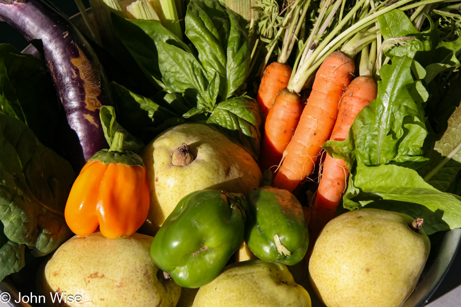 A sampling of the fruits, vegetables, and herbs from our subscription to the Little Farm in Gilbert, Arizona where Community Supported Agriculture is hard at work