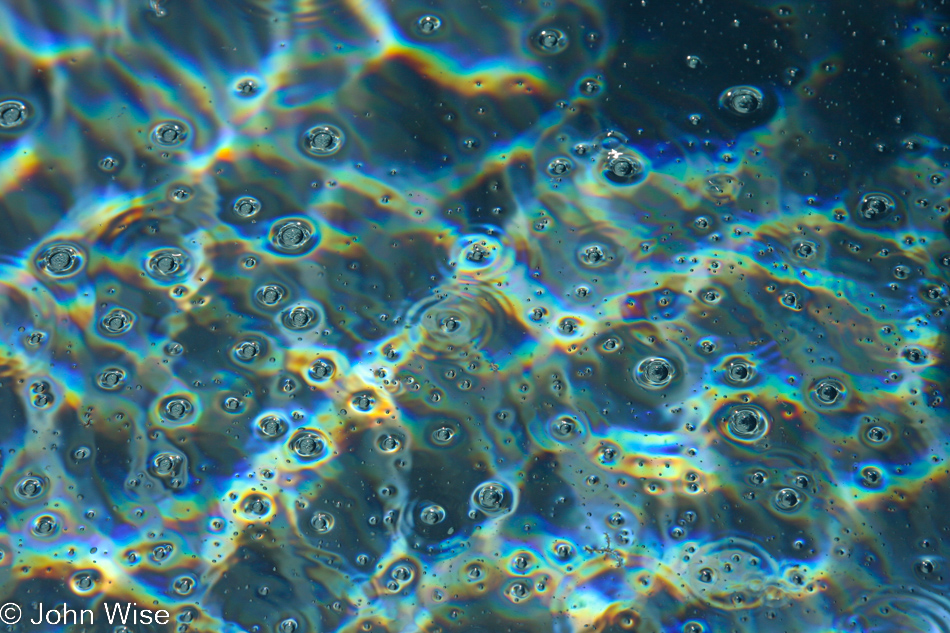 Bubbles coming to the surface of a backyard swimming pool floating with sunlight reflected and bent into strange shapes below