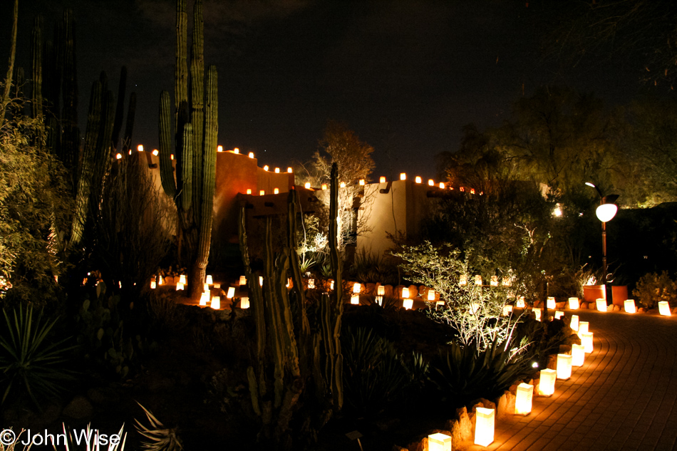 Las Noches de las Luminarias at the Desert Botanical Garden in Phoenix, Arizona