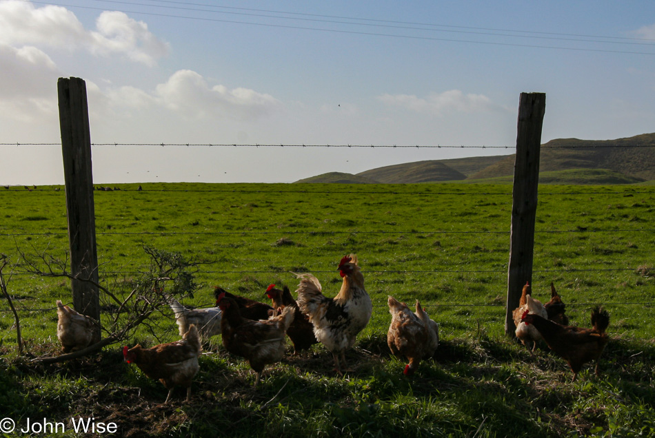 Point Reyes National Seashore, California