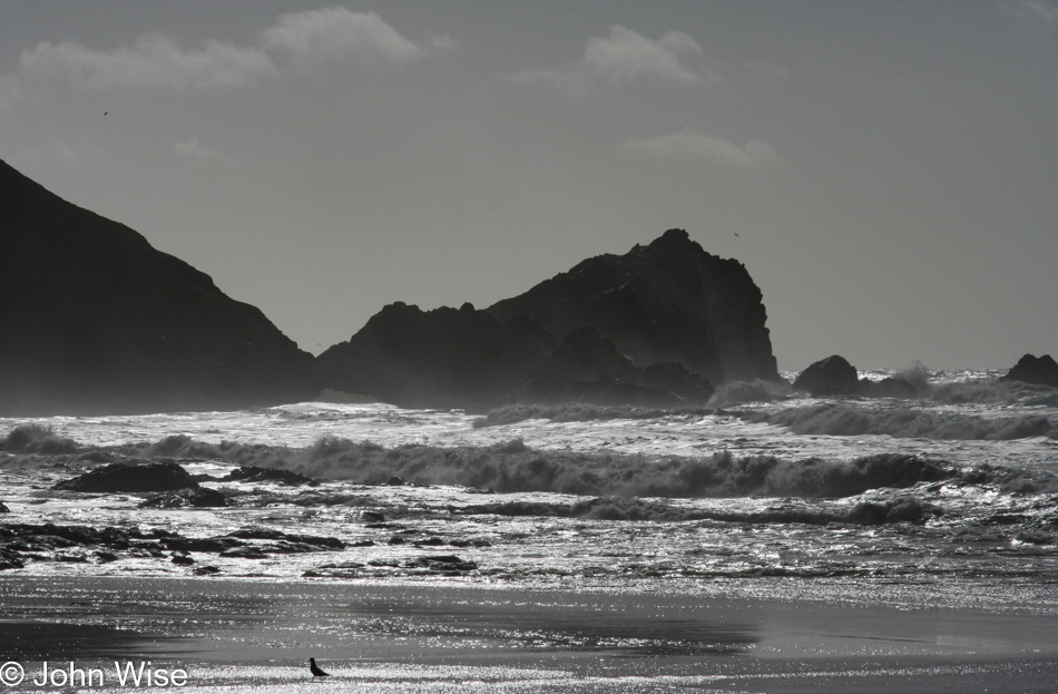 Point Reyes National Seashore, California