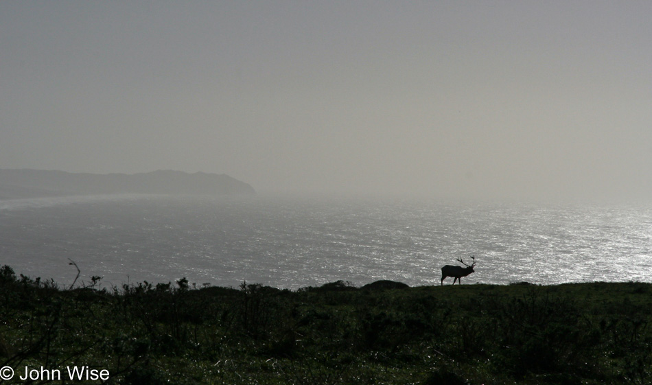 Point Reyes National Seashore, California