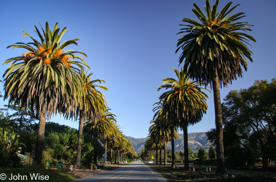 Looking up the street on Hope Ranch in Santa Barbara, California